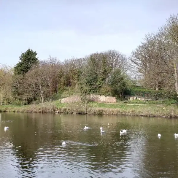Holidaying At Home – Our Guide for Top Places to Visit in Merseyside